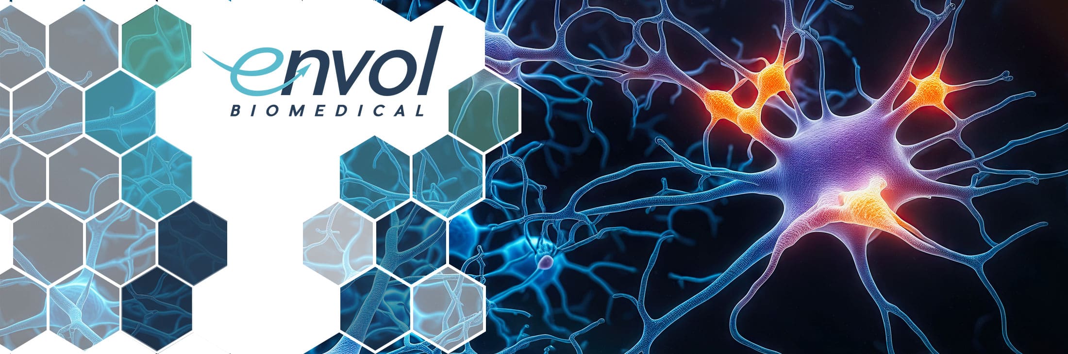 Featured image for “Envol is Excited to Discuss the Way We Are Pushing the Boundaries of Neuroscience and Imaging When We See You at ACT!”